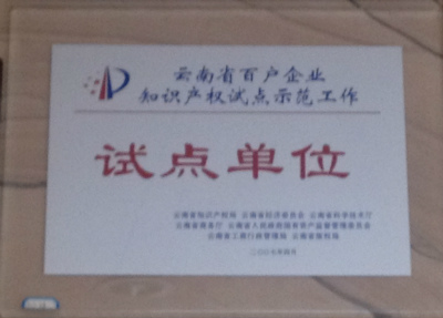 2007年，云南省百戶企業(yè)只是產(chǎn)權試點示范單位試點單位.jpg