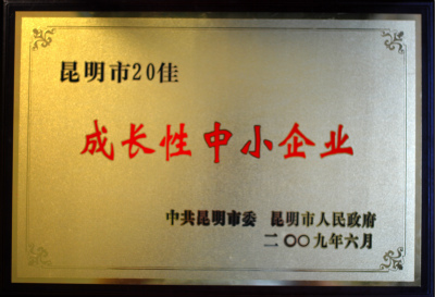 2009年，昆明市20佳成長性中小企業(yè).jpg