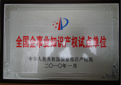 2010年，全國企事業(yè)知識產(chǎn)權(quán)試點單位.jpg