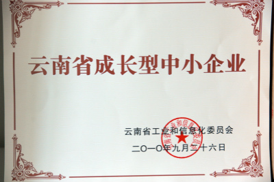 2010年，云南省成長型中小企業(yè).jpg