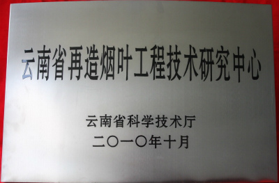 2010年，再造煙葉工程技術(shù)研究中心.jpg