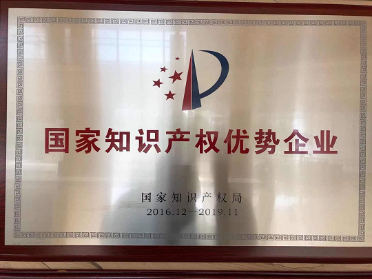 國家知識產(chǎn)權(quán)優(yōu)勢企業(yè).png